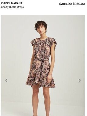 Isabel Marant Ruffled Paisley Sleeveless Blouse - Pink, Cream, Black
